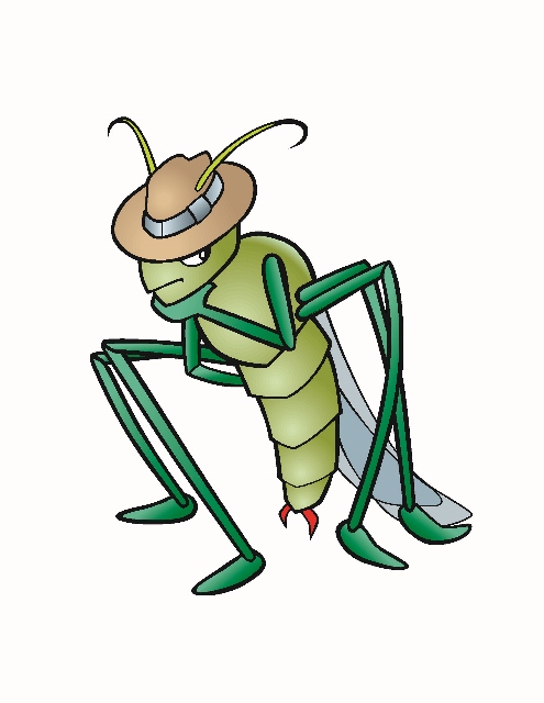 Mosquito Netting, No-see-um Netting, Net Tents in FL 