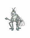Mosquito Netting, No-see-um Netting, Net Tents in FL 